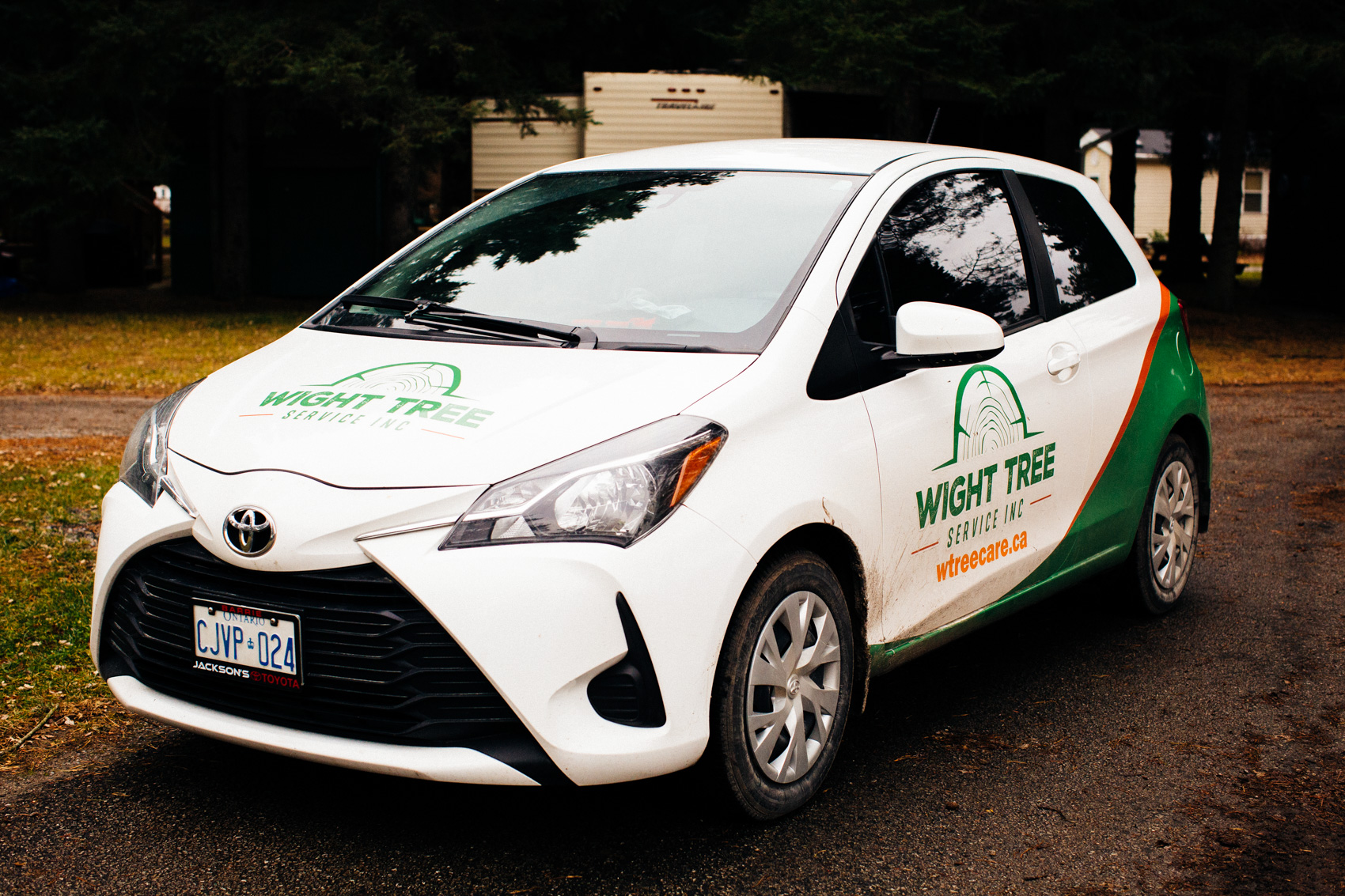 Tree Service Near Me | Contact Wight Tree Service in Georgina ON